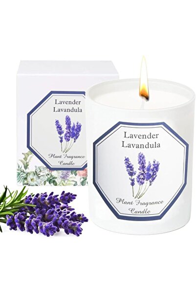 KASTWAVE Lavender Scented Candles for Women, Natural Soy Wax Scented Candles ...