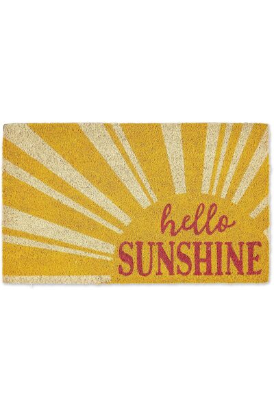 Generic DII Natural Coir Doormat, Decorative Hello Mat, 17x29, Aloe There