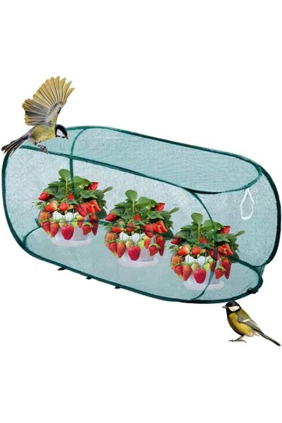 Morvena Picks Plasă de protecție pentru grădină cu cadru din sârmă de oțel, a...