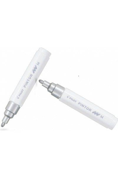 Pilot Pintor (m) Round Tip Silver (Two Pieces)
