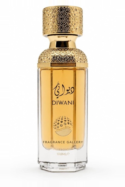 Fragrance Gallery Diwani Spicy Woody Luxury Perfume Long Lasting Arabian Scen...