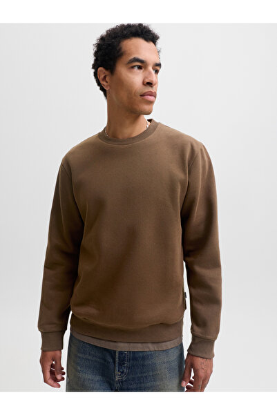 Jack & Jones Brown JJEBRADLEY Solid Crew Neck Sweatshirt