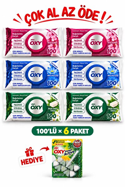 6 Paket Easy Clean Yüzey Temizlik Havlusu 100'lü ve WC Blok Hediye