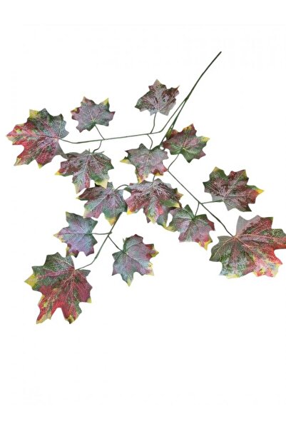 OEM Crengi Artar 12/Set Maro-Verde