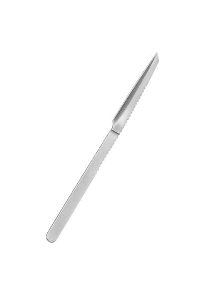 SUNUP SN-38806 13 Cm Paslanmaz Çelik Nasır Ve Ölü Deri Kazıyıcı