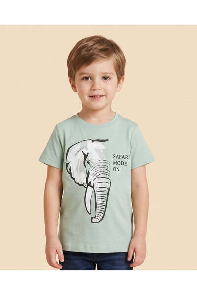 REDTAG Boys Mint Printed T-Shirt