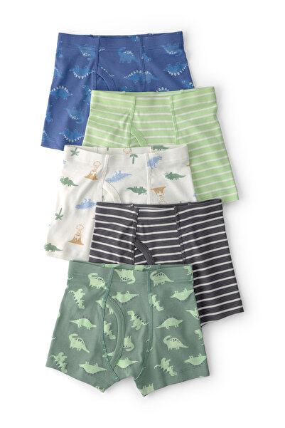 Carter's Set de boxeri pentru băieți mici, 5 piese, 2-5 ani, multicolor