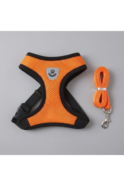 İthal Orange Orthopedic Breathable Perforated Airy Dog Chest Harness + Leash Set