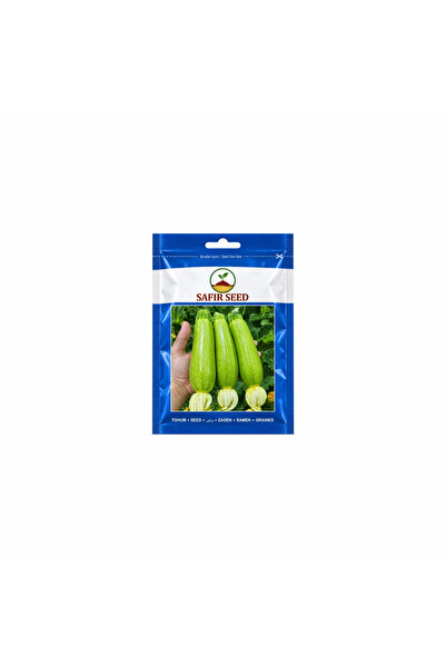 Yağmur 04 Kabak Tohumu 10 g
