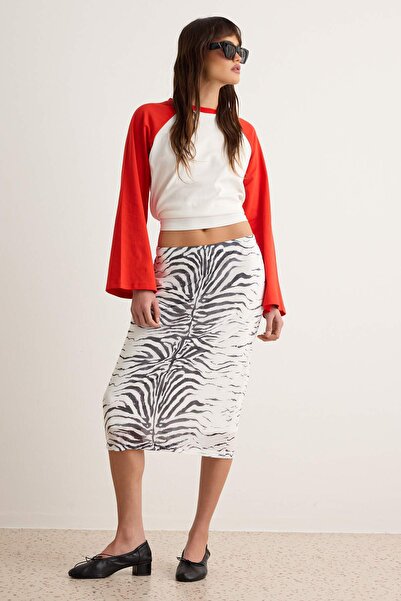 Trendyol Collection تنورة متعددة الألوان TWOAW27ET00165