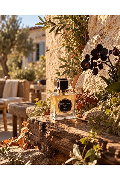 noctaria Paris Orien Erkek Parfümü 50 ml | Oryantal Çiçeksi – Koyu | Yüksek E...