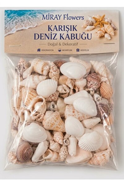 Karışık gerçek Deniz Kabukları 100 Gr