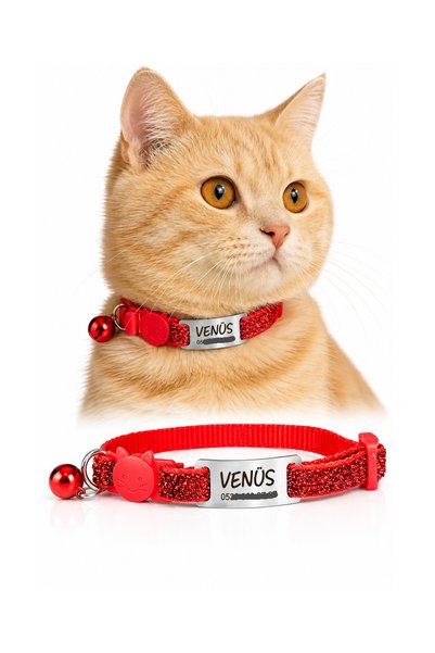 dekoliva Parlak Sim Desenli Safety Click Sallanmayan Kedi Tasması Metal Isiml...