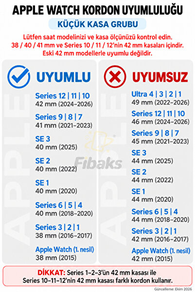 Fibaks Apple Watch 10/11/12 42mm 41/40/38 MM Uyumlu 9/8/7/6/5/4/3/SE Kordon Paslanmaz Hasır Örgü Metal