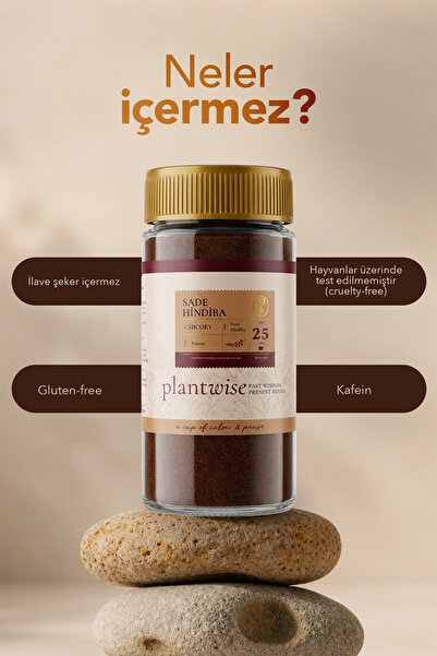 Plantwise Pure Chicory Coffee 100% Natural Prebiotic-High Fiber Herbal Caffeine-Free Coffee 100g Glass Jar
