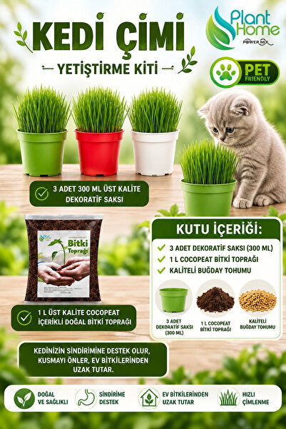 Plant Home Power Mix Kedi Çimi Yetiştirme Seti – Saksı, Cocopeat Toprak ve Bu...