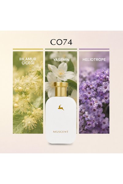 MUSCENT C074 Tilya 50 ml.