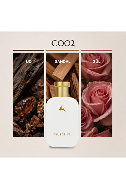 MUSCENT C002 Alex 2 özel 50 ml.