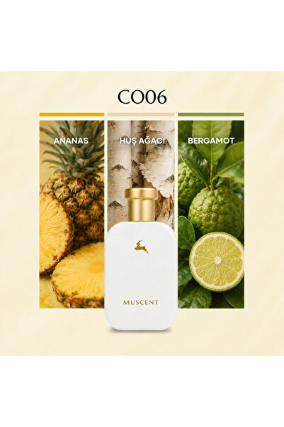 MUSCENT C006 Avntus özel 50 ml.