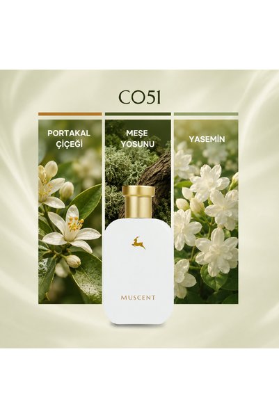MUSCENT C051 Sohoo 50 ml.