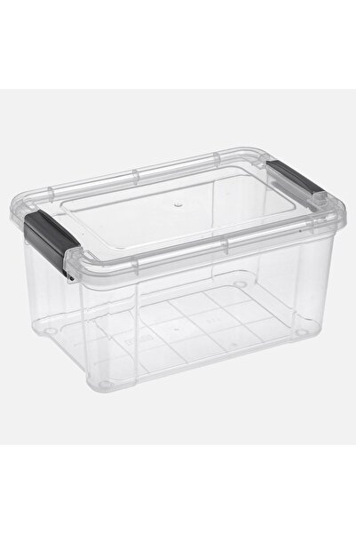 OEM Cutie de Depozitare din Plastic Transparenta cu Capac & Manere 2,5L