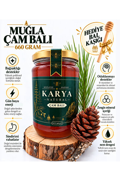 Muğla'dan Süzme Çam Balı 660 G Cam Kavanoz