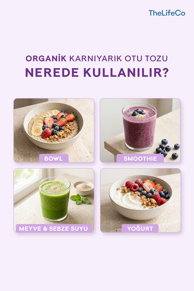 TheLifeCo Organik Psyllium Karnıyarık Otu Tozu 180 G