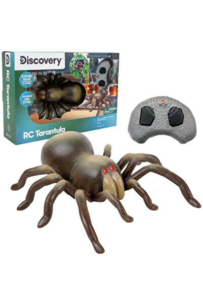 Discovery Τηλεκατευθυνόμενη Ταραντούλα