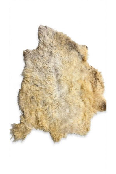 Generic Brand Fur.