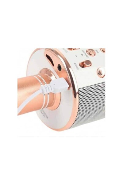 OEM Ασύρματο Bluetooth Μικρόφωνο Με Ενσωματωμένο Ηχείο Και Karaoke Wster Ws-858