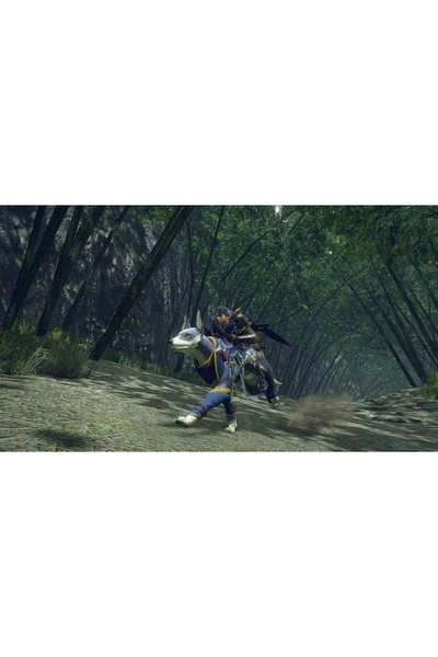 CAPCOM MONSTER HUNTER RISE + SUNBREAK |   NINTENDO SWITCH
