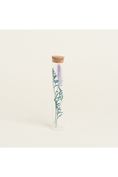 Beauty Home ΓΥΑΛΙΝΟΣ ΣΩΛΗΝΑΣ ΜΕ ΚΛΑΔΙΑ 3 x 18 cm