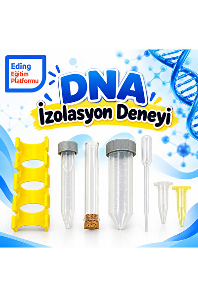 EDİNG EĞİTİM PLATFORMU DNA İzolasyon Deney Seti – Meyveden DNA Çıkarma ve Göz...
