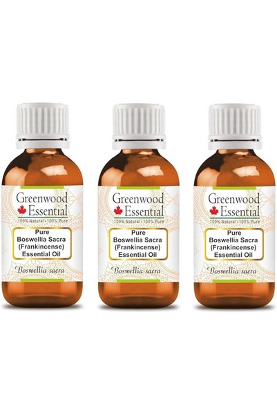 Greenwood Essential زيت البوسويليا ساكرا (اللبان) العطري النقي (بوسويليا ساكر...
