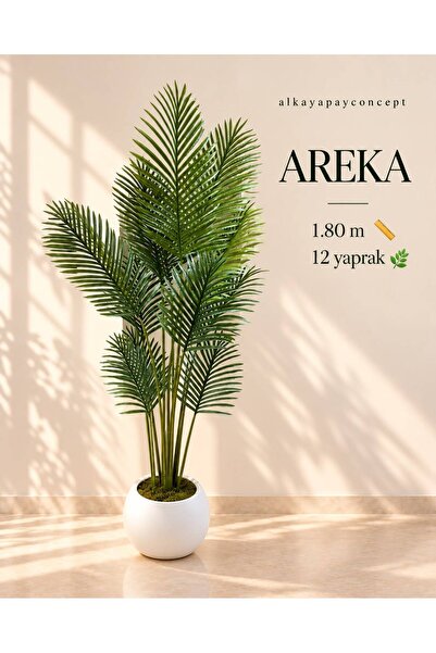 Yapay ağaç Areka