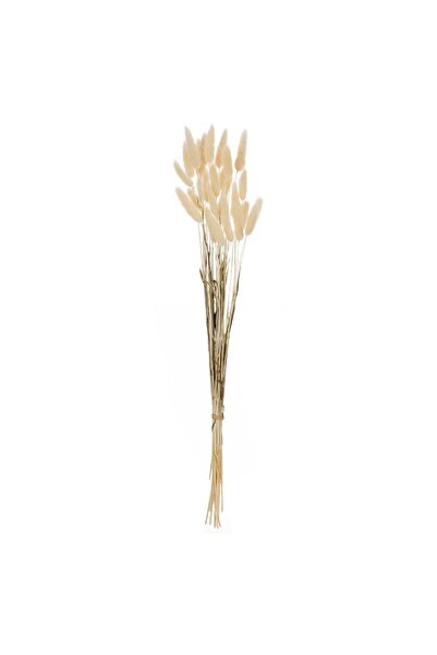 OEM Crem Bunny Tails Ramuri uscate decorative 60cm