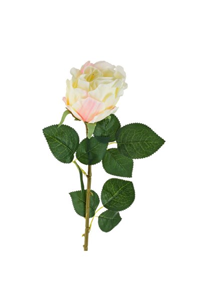 OEM Trandafir artificial, tulpină albă, lungime 71cm