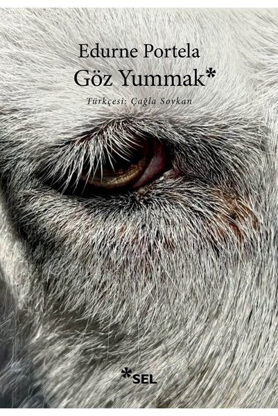 Sel Yayıncılık Göz Yummak