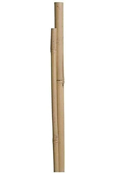 Generic أوتاد خيزران طبيعية سميكة من LINGWEI (60 سم، 100 سم، 120 سم) دعامات ط...