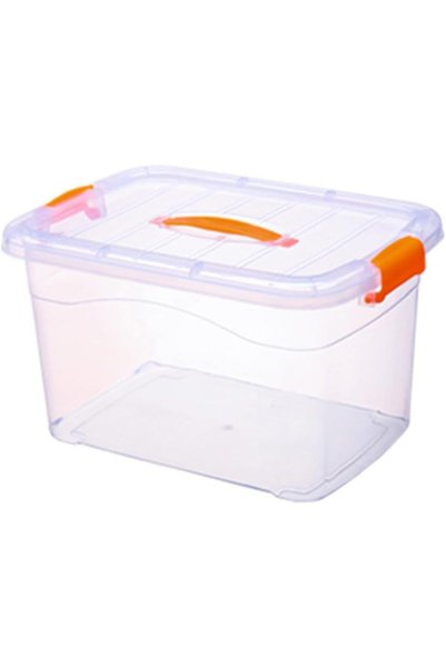 Generic Storage Bin, Clear Storage Box with Lid, Clothes Storage Container fo...
