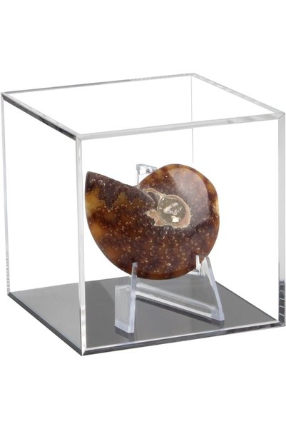 Generic Clear Acrylic Souvenir Collectables Display Case Holder Box, Acrylic ...