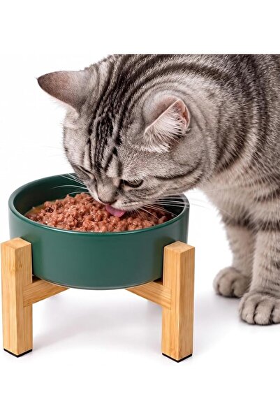 GENERAL White Ceramic Elevated Raised Cat Bowls,Cat Food Dish with Stand, Rai...