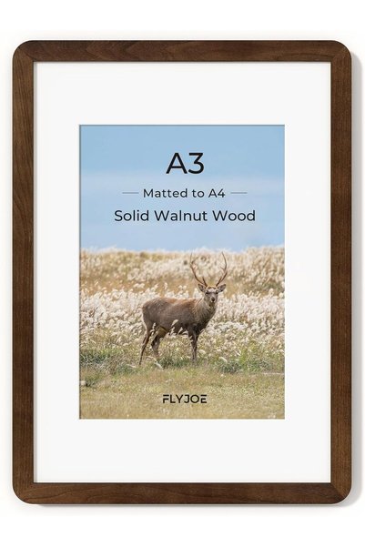 Generic 8x10 Picture Frame, Display Pictures 5x7 with Mat or 8x10 Without Mat...