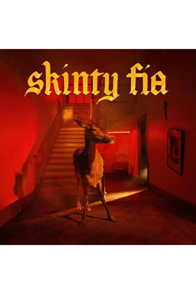 Fontaines D.C. - Skinty Fia 1LP Plak