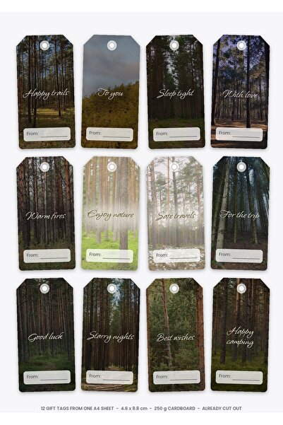 OEM Camping Trip Gift Tag Set, 12 Pieces, 250g Cardboard, A4