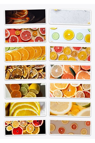 OEM Citrus Slices Sticker Pack, Set of 14 Fresh Fruit Stickers, Durable, A6 F...