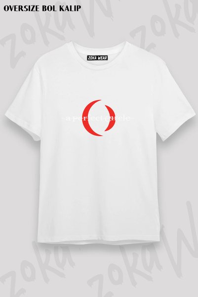 ZOKAWEAR تي شيرت مطبوع عليه شعار A Perfect Circle