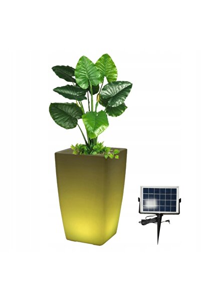 vidaxl Ghiveci de flori de exterior cu lampă, jos, cu 50 LED-uri, EuroTrail