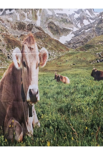Abakuhaus Traversă de masă frumoasă 140cm x 200cm