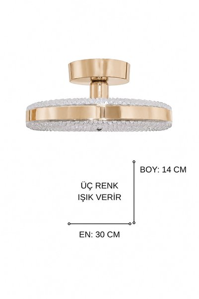 Turanconcept İnci Tekli Plafonyer Modern Tasarım Enerji Tasarruflu Led Avize 3 Renk Işık Kristal Görünüm Oturma Odası Yemek Odası Salon Yatak Odası(ÇAP - 30 CM)